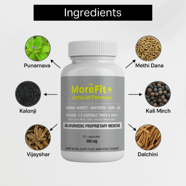 Morefit +